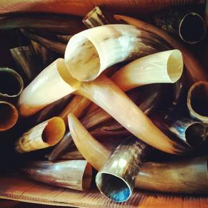 Corne de buffle naturelle décorative Vente à chaud Paire de produits Corne pour articles de décoration murale avec produit en vente - Product Image 6