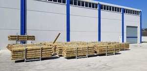 BAMBOO <b>POLES</b> 240CM (8 FT) <b>for</b> ORNAMENTAL PLANTS - Product Image 4