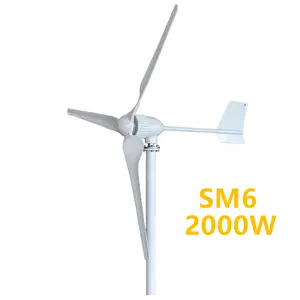 SM6-2000W مولد الطاقة مع 3 شفرة من النايلون ، توربينات الرياح المنزلية الأفقية ، مولد الرياح ، 24 فولت ، 48 فولت ، 96 فولت