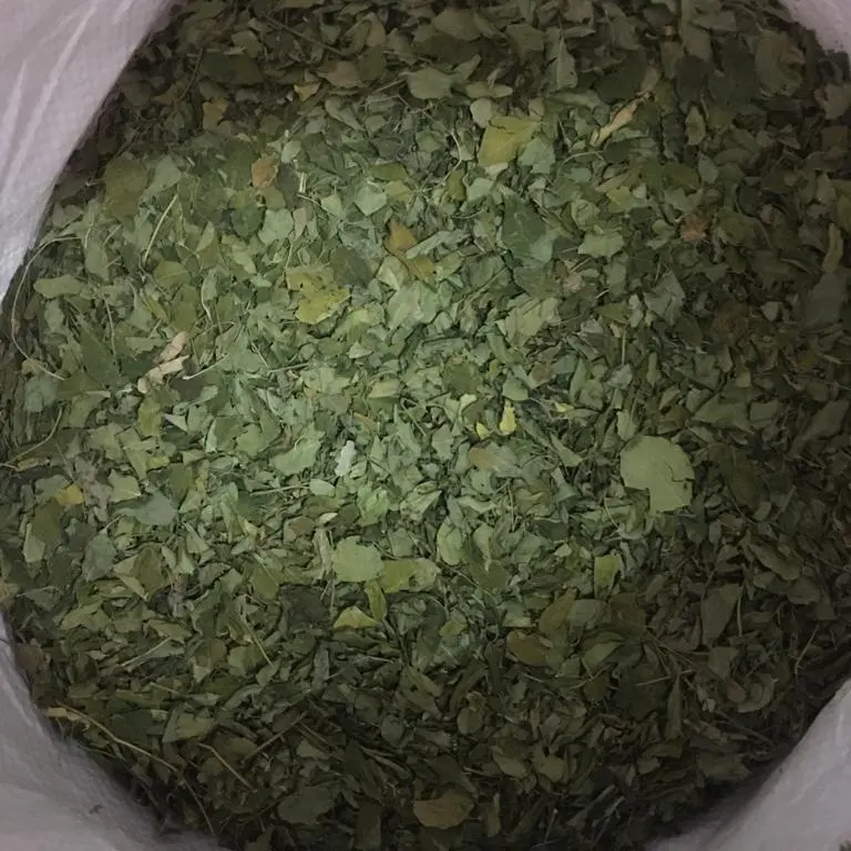 Хит продаж, сушеные листья Моринги для домашнего ежедневного использования для приготовления супа Моринги, чай Моринги для высокого питания