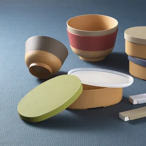 Wappa Bento Lunch Box with Japanese Traditional Color