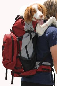Bolsas de transporte de lujo para mascotas personalizadas, bolsa de transporte para perros y gatos - Product Image 3