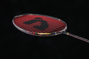 OEM/ODM Trọng Lượng Nhẹ Tốt Nhất 30T Hai Mảnh VỢT CẦU LÔNG Tùy Chỉnh - Product Image 6