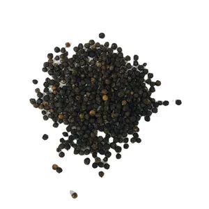 Spices Black Pepper 500 MC Best Selling With Good Price Available von Vietnam