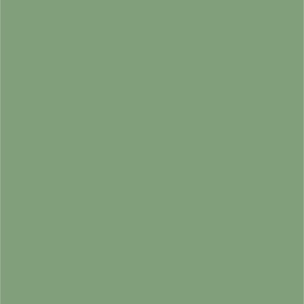 RAL 6021