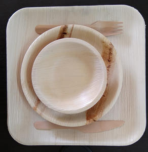 100% assiettes et bols écologiques jetables en feuilles de palmier Areca naturelles et biologiques Type de plat à motif de plantes gravées durables - Product Image 6