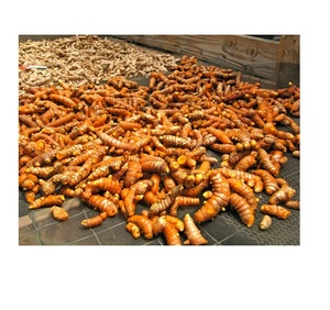 Cúrcuma, Cúrcuma Fresca, Dedo de Cúrcuma Seca. Hierbas y Especias Individuales: Jengibre y Cúrcuma - Product Image 1