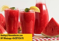 Hete Verkoop Watermeloenpuree Drink Sap Verse Stijl Goede Prijs Herkomst Vietnam
