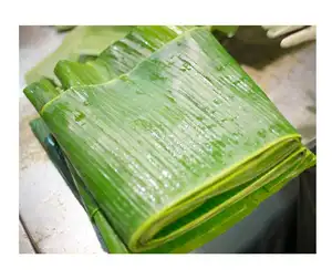 Fresh green organic tropical banana leaves lowest price for wholesales the different size origin Vietnam| TERESA +84971482716