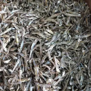 Dry Anchovy Fish . we supply for US, Germany ... Amber+84383004939