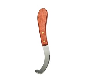 เครื่องมือสัตวแพทย์มีดบอทไข่ทำจากสแตนเลสคุณภาพเยอรมัน - Product Image 6
