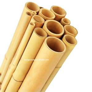 Vente en gros de poteaux en bambou 100% naturel pour l'agriculture et la construction, origine Vietnam, marque ECO2GO, durée de vie de 10 à 20 ans - Product Image 2