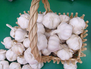 New Crop <b>Fresh</b> <b>Garlic</b> - <b>Garlic</b> Good Quality & Price for Wholesaler - Product Image 5