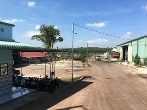 Extracción de cáscara de anacardo (CNSE) /bioms - Product Image 3