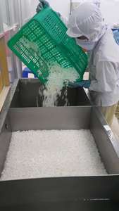 IQF congelés viande de noix de coco de noix de coco dés pour l'exportation du VIETNAM/mme LAURA + 84 896611913 - Product Image 2