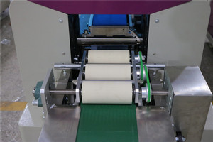 Machine d'emballage automatique pour aliments congelés en plastique à flux automatique TCZB-250X - Product Image 3