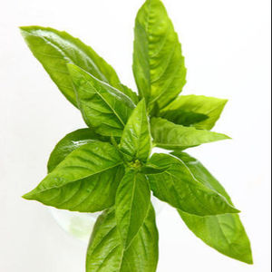 ASIL-inalool para terapia facial, 100% - Product Image 1