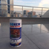 ISONEM VERRE LIQUIDE TRANSPARENT PEINTURE POUR MEUBLES IMPERMEABLE EXCELLENTE ADESION pour CARREAUX MARBRE CÉRAMIQUE BÉTON BOIS
