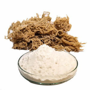 Polvo de musgo marino irlandés de calidad alimentaria-Polvo de musgo irlandés-Polvo de musgo marino (Shyn Tran) - Product Image 2