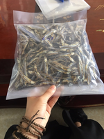 Anchois séchés - Meilleur prix au Vietnam - Fruits de mer - M. Alex Truong