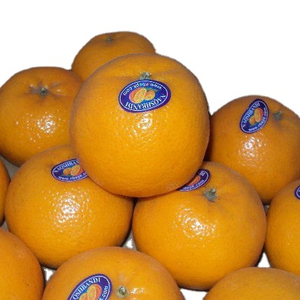 farm fresh easy to peel mandarin "kinnow&q