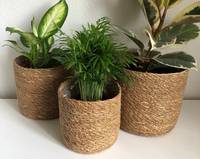 Maceta de algas marinas para interior, cubierta de macetas, contenedores de plantas