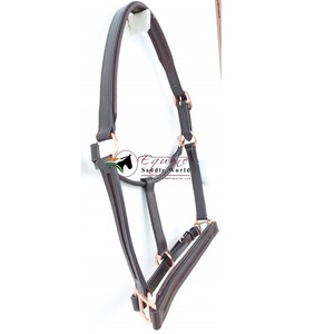 Licol de cheval équitation en cuir noir, chaîne vide sur le nez et la joue, matériel de qualité supérieure en or ROSE - Product Image 1