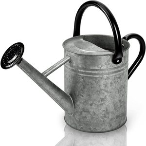 กระป๋องโลหะสำหรับรดน้ำในสวนหัวฝักบัวแบบพ่นยาว - Product Image 5