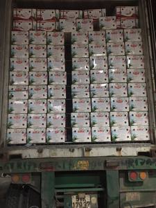 MEILLEUR PRIX POUR DU DRAGON FRUIT ROUGE FRAIS DE HAUTE QUALITÉ GRADE 1 DU VIETNAM/MS LAURA - Product Image 3