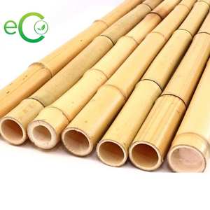 Poteau en bambou naturel 100% d'Eco2Go Viet Nam Meilleur prix pour un jardin et un support de plantes écologiques au Vietnam - Product Image 4