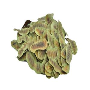 Vainas de Senna T Cut (Cassia Angustifolia) de la Agricultura de la India para Uso Laxante - Product Image 1