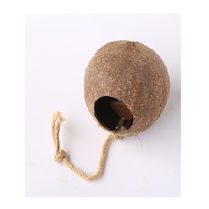MEILLEURE VENTE COQUE DE NOIX DE COCO de haute qualité fabriquée à la main par le fournisseur du VIETNAM avec un prix bon marché - Product Image 2