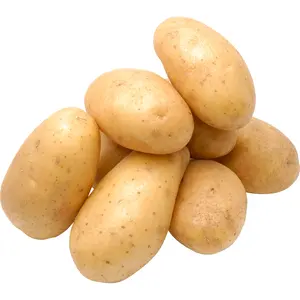 Patate fresche/nuove colture di patate diamantate/fornitore di patate Russet dall'olanda