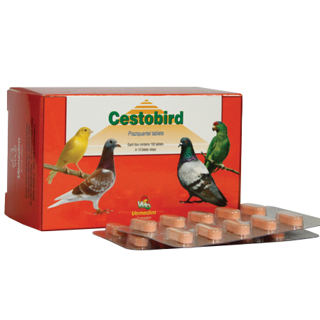 Excellent antiparasitic activity against cestodes (tapeworms) for Bird , Cestobird