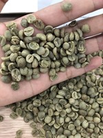 San martin — café Luwak, exportation depuis le sénégal et la corée, pays arabes du Vietnam et de corée