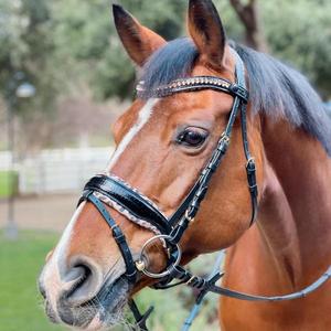 Bride de cheval en cuir indien intelligent - Product Image 6
