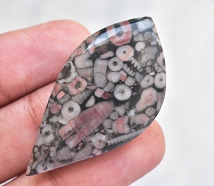 Natural Cindrol Fossil Coral Gemstone Semi Precious Cindrol Fossil Loose Gemstone For Jewelry - Product Image 5