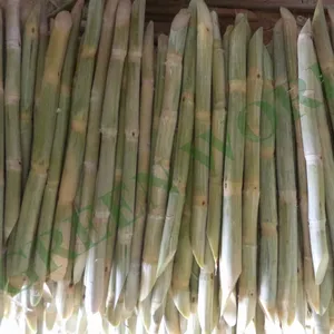 सस्ती कीमत वियतनाम से जमे हुए गन्ना छड़ी-गन्ने का रस के बहुत सारे