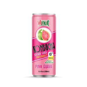 Kombucha Lemongrass 8,4 floz Bebida de té VINUT Vietnam 24 latas de cartón lata Puré a granel sin azúcar Calidad Premium - Product Image 5