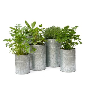 100% Quality Antique and Unique Decorative Planter Galvanized <b>Iron</b> Planters in Reasonable Rate - Product Image 1