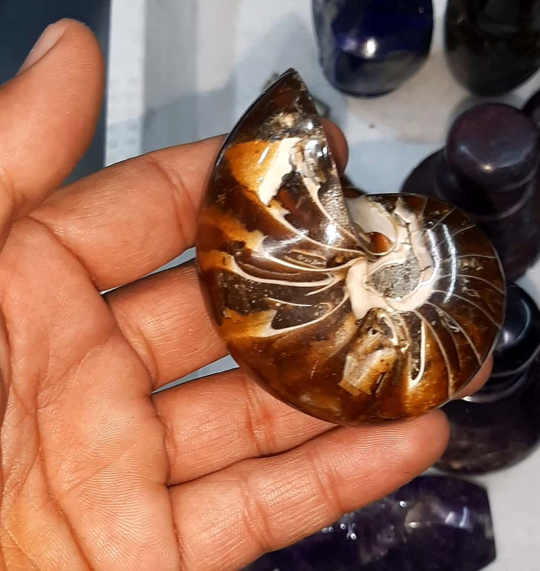 เช่นเดียวกับภาพ