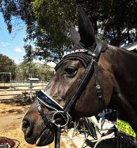 Bride de cheval en cuir indien intelligent - Product Image 5