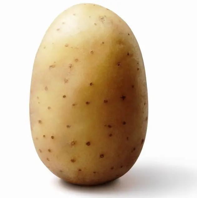 Frische Kartoffel aus Pakistan