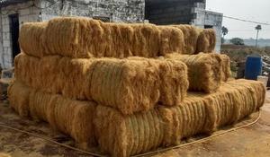 Fibre de coco écologique avec environnement/fibre de coco à vendre de haute qualité et à bon prix au Vietnam - Product Image 3