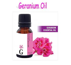 Aceite Esencial de Geranio Egipcio de Primera Calidad al por Mayor, Destilado al Vapor, Beneficios Antienvejecimiento - Product Image 2