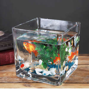 Vaso quadrato in vetro trasparente da 15*15cm <span class=keywords><strong>per</strong></span> matrimonio ufficio e decorazioni <span class=keywords><strong>per</strong></span> la casa eventi <span class=keywords><strong>per</strong></span> feste fiore e terrario con candela portacolori vaso cubo - Product Image 5