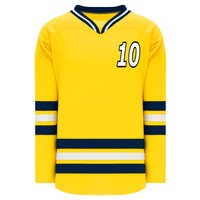 Jersey de Hockey sobre Hielo Profesional de Diseño Personalizado de Alta Calidad, 100% Poliéster, Secado Rápido, Uniforme Deportivo Cómodo, Nombre del Equipo OEM