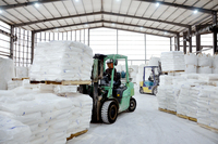 Cal rápida vietnamita al mejor precio
