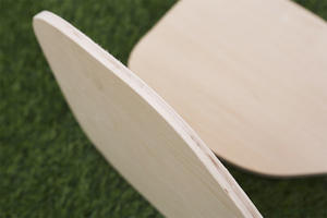 ไม้พายพิคเคิลบอล LIBOTAI ABS รุ่นปี 2025 พร้อมโลโก้สั่งทำพิเศษ สำหรับผู้เล่นระดับสูง ลายพิเศษ ใช้กลางแจ้ง คุณภาพสูง - Product Image 3