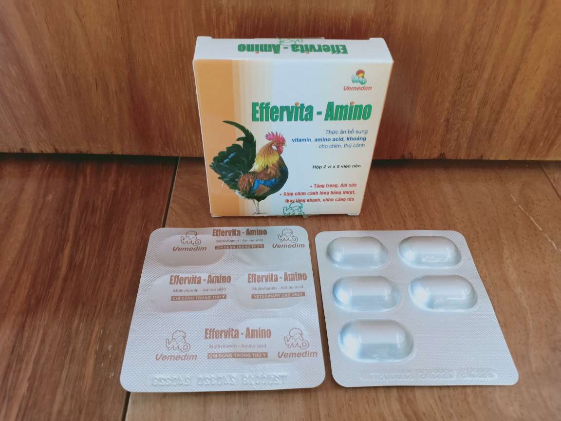 Multivitamin - Mineral - Amino Acid for Pet health Effervita - Amino